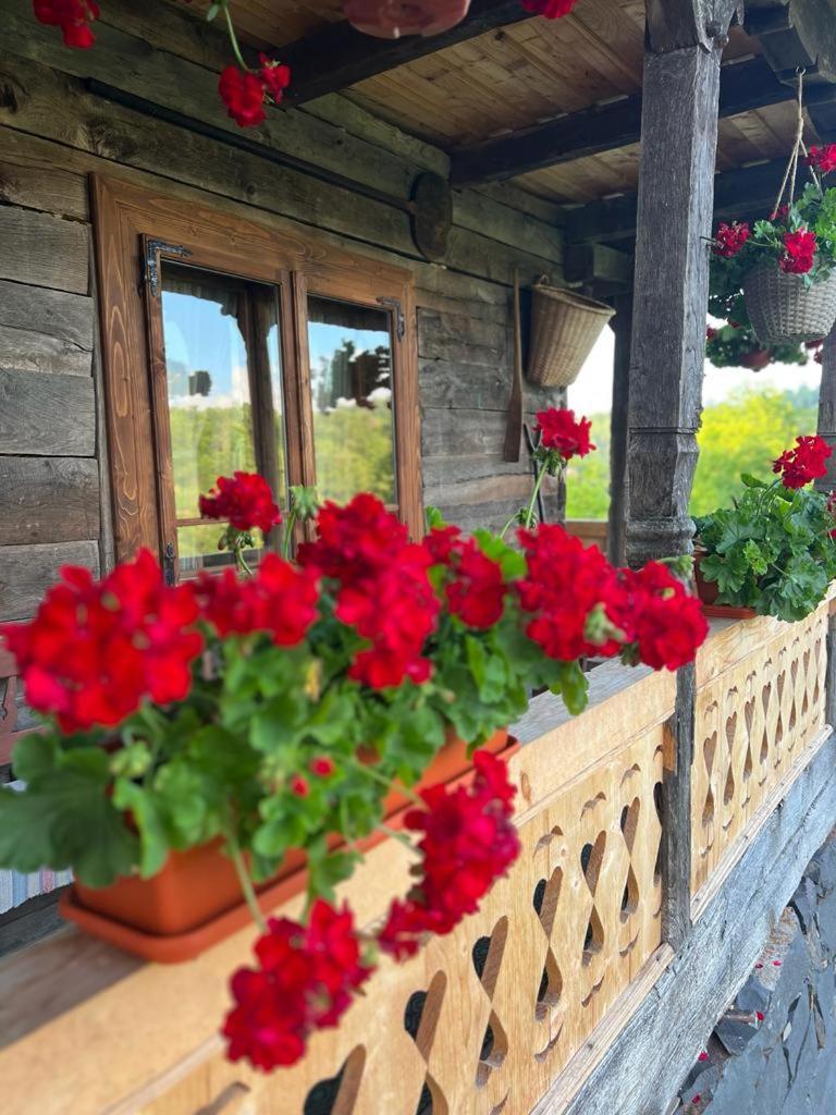 Casa Veche Breb Hotell Exteriör bild